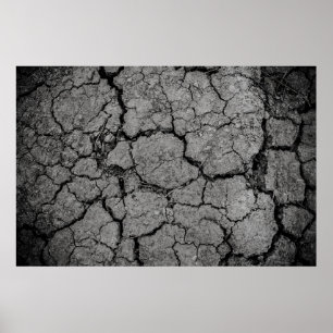Affiche Sècheresse gris sol aride
