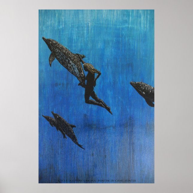 Affiche Secourir le dauphin (Devant)