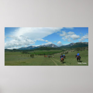 Affiche Section 33