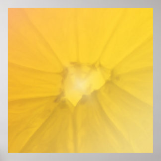 Affiche Section citron