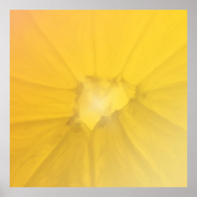 Affiche Section citron (Devant)