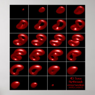 Affiche section transversale 4d torus