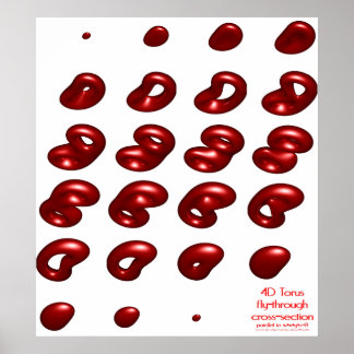 Affiche section transversale 4d torus