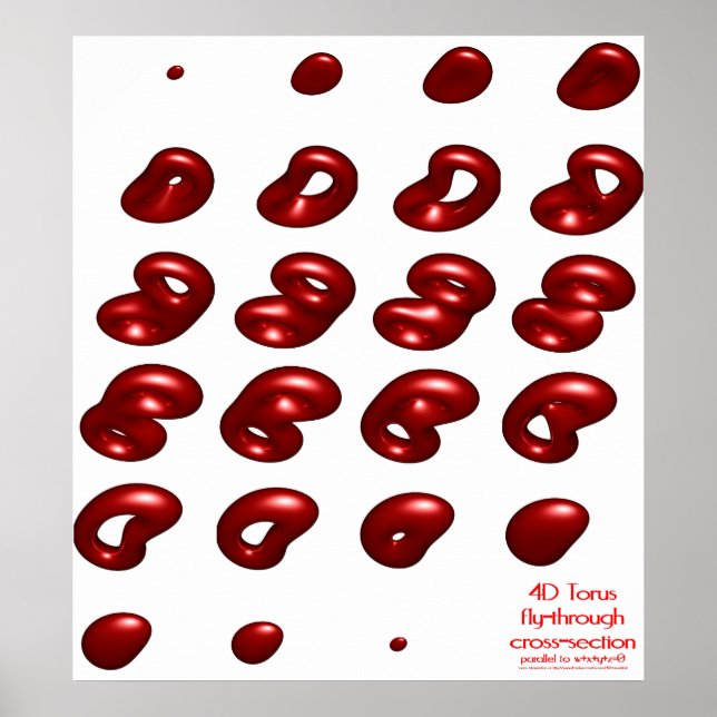 Affiche section transversale 4d torus (Devant)