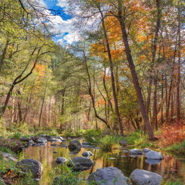 AFFICHE SEDONA ARIZONA DIFFUSE UN AUTRE JOUR (Créateur téléchargé)