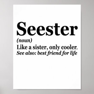 Affiche Seester Noun Definition Best Sister Funny Gift