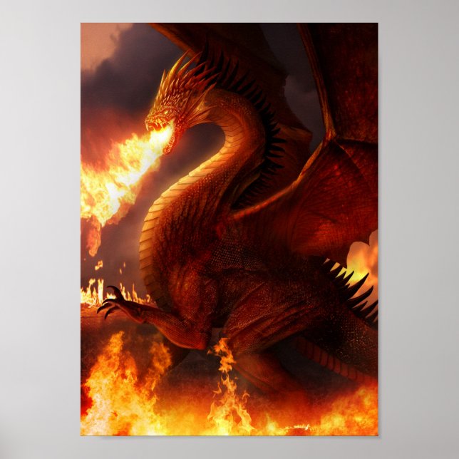 Affiche Seigneur des Dragons (Devant)