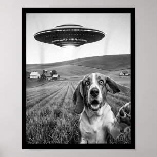 Affiche Selfie avec un extraterrestre Ufo drôle pari amate