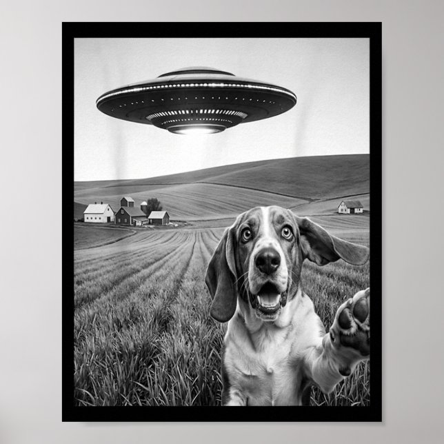 Affiche Selfie avec un extraterrestre Ufo drôle pari amate (Devant)