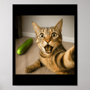 Affiche Selfie Chat Chocé Drôle Avec Conception De Mème De