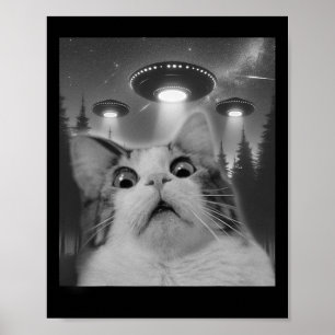 Affiche Selfie De Chat Avec Ufos