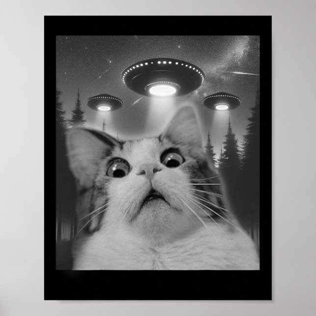 Affiche Selfie De Chat Avec Ufos (Devant)