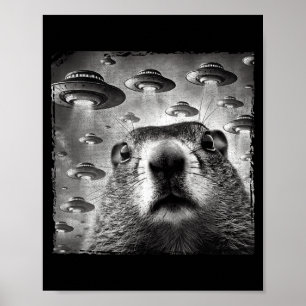 Affiche Selfie de marmotte drôle avec des ovnis extraterre
