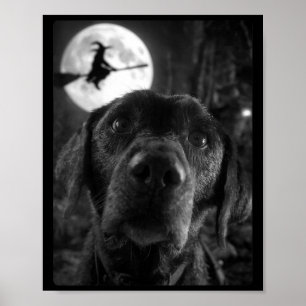 Affiche Selfie Labrador drôle féminin Lune pleine volant