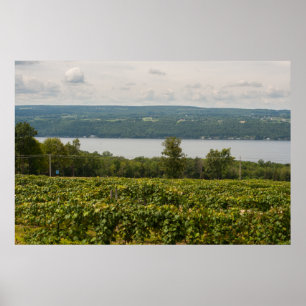 Affiche Seneca Lake and Vineyards, New York