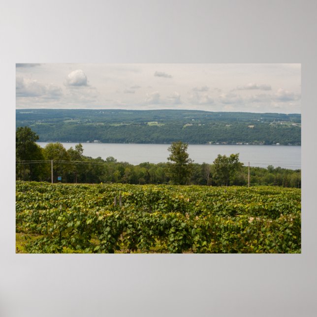 Affiche Seneca Lake and Vineyards, New York (Devant)