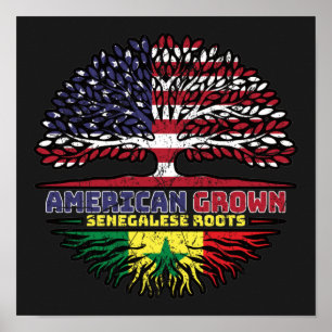 Affiche Sénégal Sénégalais Etats-Unis Etats-Unis