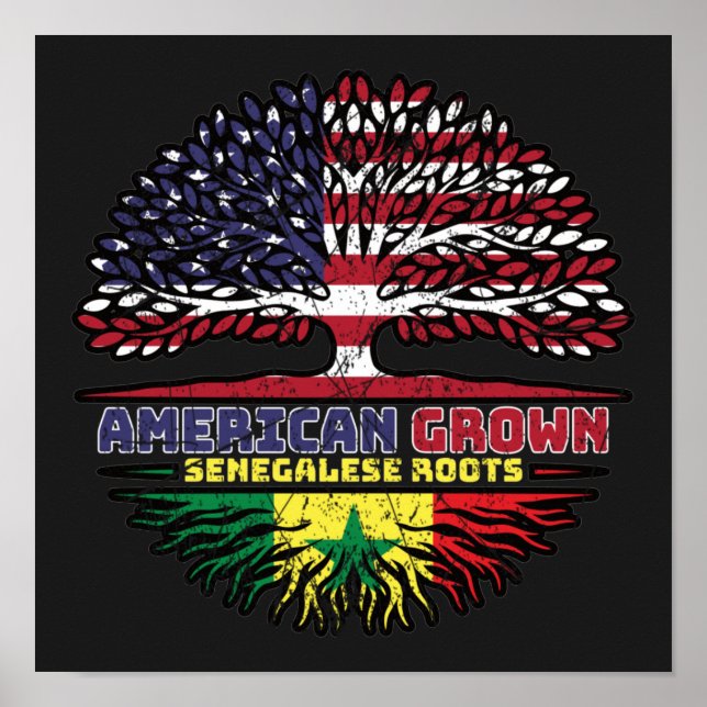 Affiche Sénégal Sénégalais Etats-Unis Etats-Unis (Devant)