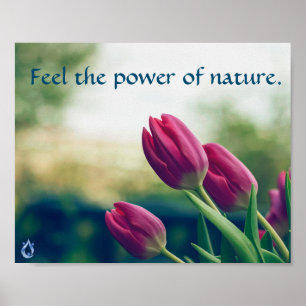 Affiche Sentez la puissance de l'affiche de nature