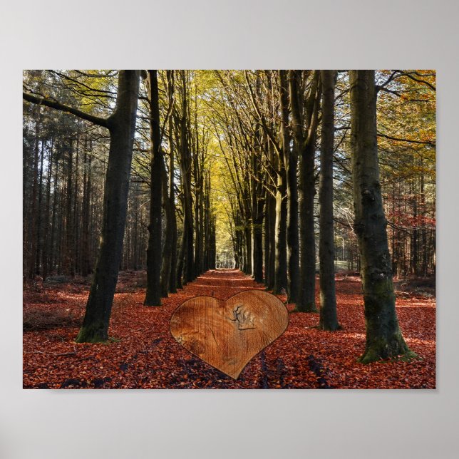 Affiche sentier d'automne forêt branche d'arbre route chem (Devant)