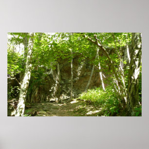 Affiche Sentier de découverte de Frazier à Shenandoah Phot