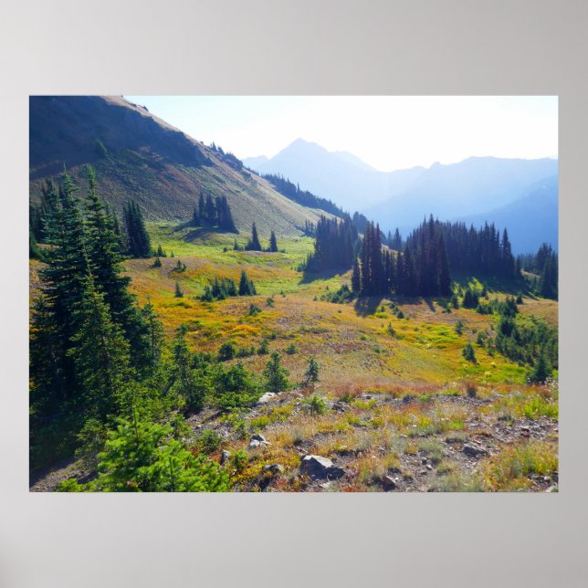 Affiche Sentier de Hurricane Ridge (Devant)