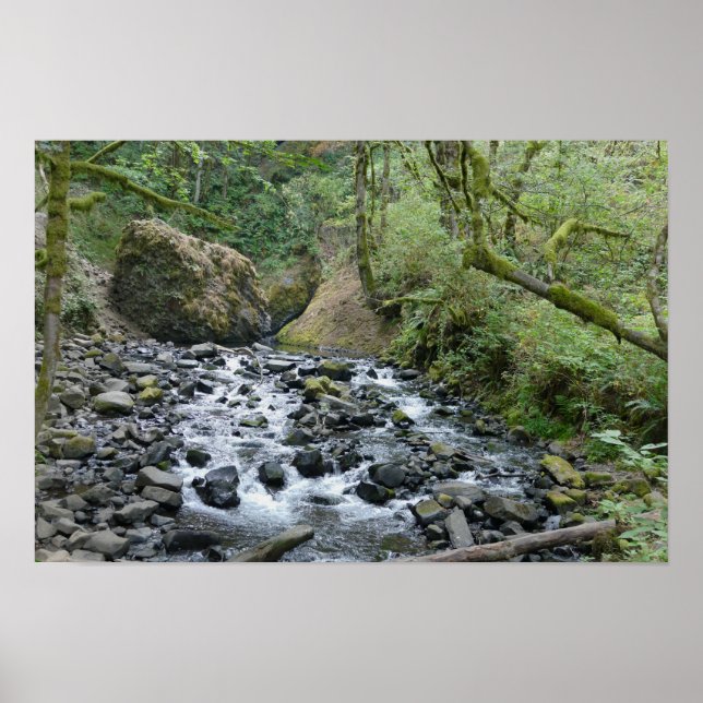 Affiche Sentier de la cascade Bridal Veil, Oregon (Devant)