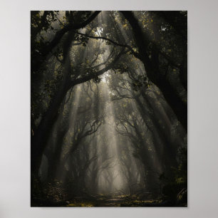 Affiche Sentier de la Forêt Enchantée : Lumière Éthérée et