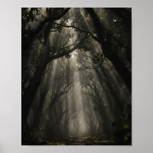 Affiche Sentier de la Forêt Enchantée : Lumière Éthérée et (Devant)