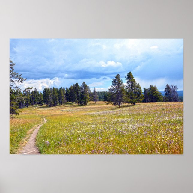 Affiche Sentier de la prairie du parc national de Yellowst (Devant)