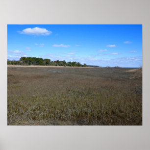 Affiche Sentier de la réserve naturelle de l'île Burton