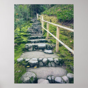 Affiche Sentier de pierre dans une forêt luxuriante