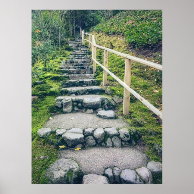 Affiche Sentier de pierre dans une forêt luxuriante (Devant)