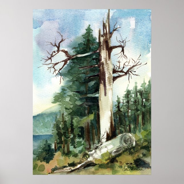 Affiche Sentier de randonnée des arbres forestiers vue sur (Devant)