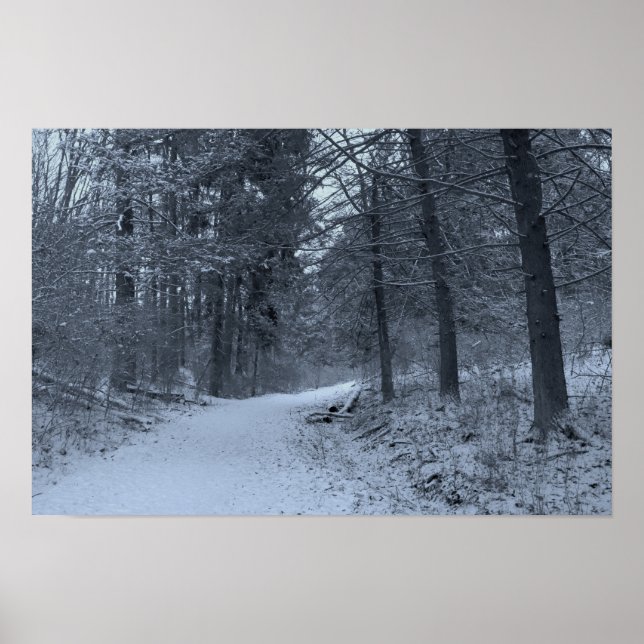 Affiche Sentier de randonnée enneigé 1 (Devant)
