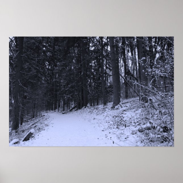 Affiche Sentier de randonnée enneigé 2 (Devant)