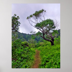 Affiche Sentier de randonnée hawaïen