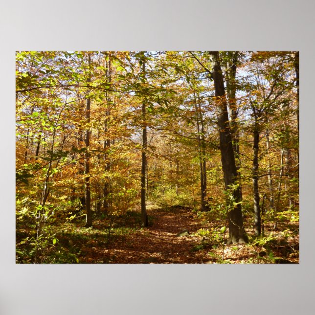 Affiche Sentier de Wolf Rocks en paysage automnal de Penns (Devant)