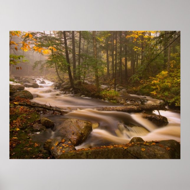Affiche Sentier des Appalaches ruisseaux | Vermont (Devant)