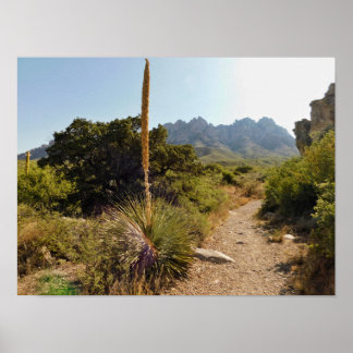 Affiche sentier du désert avec yucca et montagnes