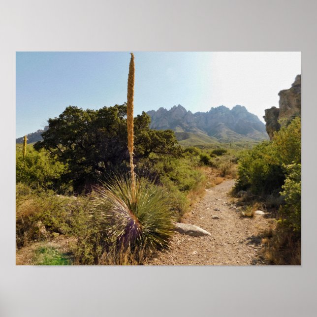 Affiche sentier du désert avec yucca et montagnes (Devant)