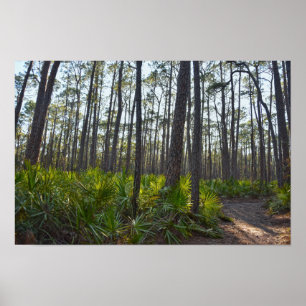 Affiche Sentier du parc Shell Mound, île Dauphin, Al