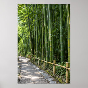 Affiche Sentier épais de la forêt de bambou avec clôture r