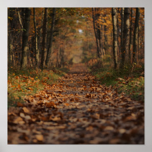 Affiche Sentier forestier automnal