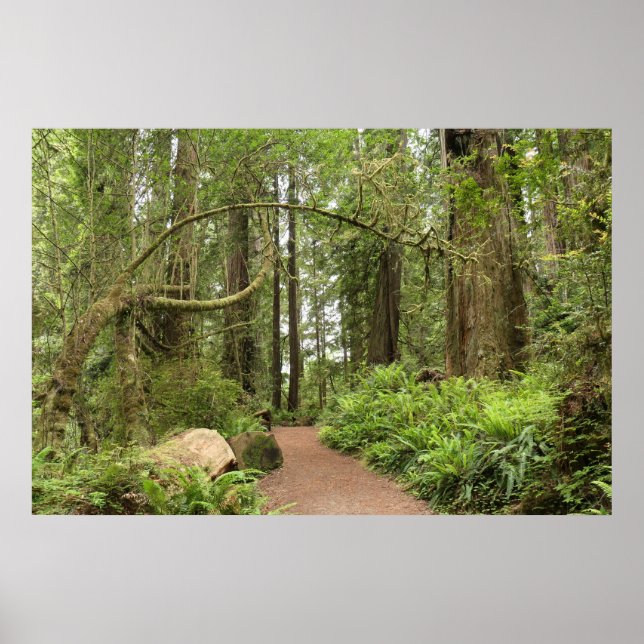 Affiche Sentier Karl Knapp (Devant)