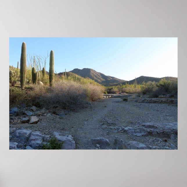 Affiche Sentier King Canyon I (Devant)