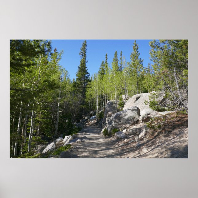 Affiche Sentier pour Alberta Falls (Devant)