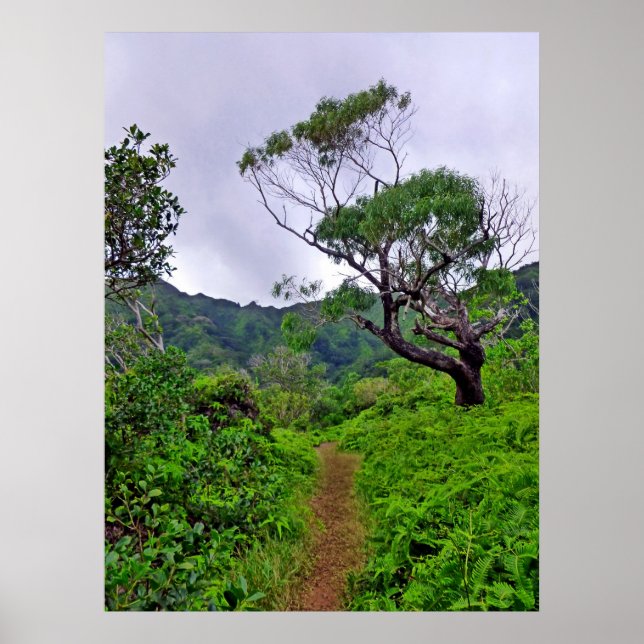 Affiche Sentier Randonnée hawaïen (Devant)