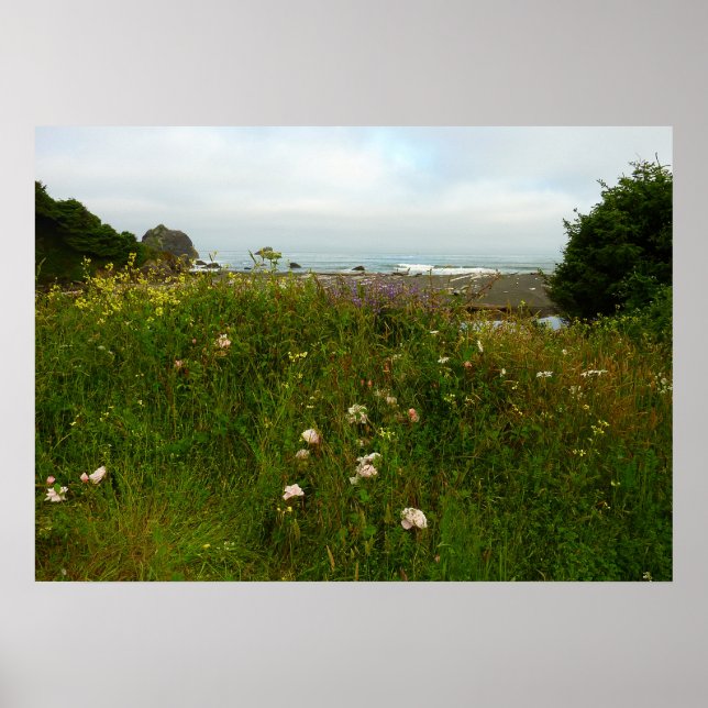 Affiche Sentier Yurok Loop au parc national de Redwood (Devant)