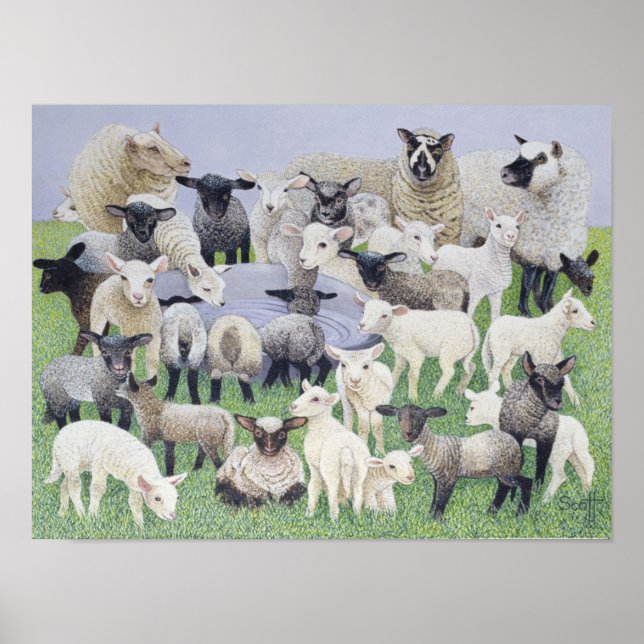 Affiche Sentiment de Sheepish (Devant)